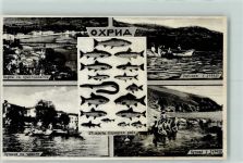 Ohrid - Fischer