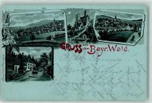 94227 W8372 Zwiesel 1898 Lithographie / Mondschein Waldhaus Ruine Weissenstein Regen