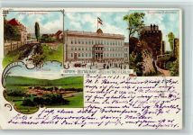 99762 O5501 Neustadt /Harz 1897 Lithographie Hotel zum Hohnstein Reform-Restaurant im Reichstag Burgruine Gesamtansicht 4-Bildaufnahme
