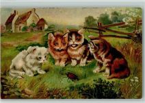 1910 Katzen Maikäfer Hoffmann´s Stärke
