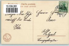 1910 Katzen Maikäfer Hoffmann´s Stärke