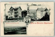 01744 O8230 Dippoldiswalde 1901 - Villa Waldesruh