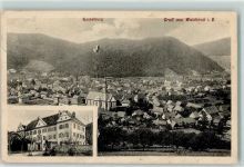 79183 W7808 Waldkirch , Breisgau - Villa Kastelburg Stadtkirche St. Margarethen Bahnpoststempel