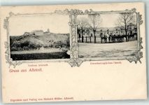 06542 O4702 Allstedt - Schloß Allstedt Großherzogliches Gestüt Pferde