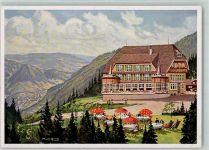 76596 W7564 Forbach , Baden Gebrauchsspuren Hotel Rote Lache Landpoststempel Künstlerkarte v. Munding