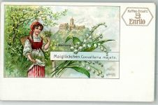 O5900 Eisenach , Thür Kaffee Ersatz Enrilo Serie Blumen Kultur Maiglöckchen Wartburg Kaffeewerbung Lithographie / Künstlerkarte