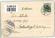 04808 O7250 Wurzen 1903 Lithographie / Künstlerkarte Im Stadtpark Wasserfontaine Marktplatz