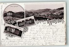 Bad Oppelsdorf Opolno Zdroj 1898 Lithographie Hotel Zum Kurhaus Albert-Bad Carola-Bad
