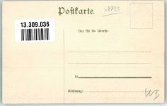 97708 W8733 Roth a d Saale Lithographie Roth im 15.-16. Jahrhundert Wappen