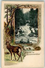 76596 W7564 Raumünzach Prägedruck Wasserfall Brücke Hirsch