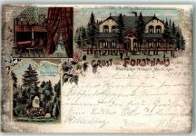24534 W2350 Neumünster , Holst 1899 Lithographie Gruss vom Forsthaus Städtische Anlagen Moltke Ecke Geerdts Denkmal Blumen