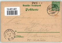 24534 W2350 Neumünster , Holst 1899 Lithographie Gruss vom Forsthaus Städtische Anlagen Moltke Ecke Geerdts Denkmal Blumen