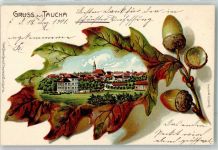 04425 O7127 Taucha b Leipzig 1901 Prägedruck Eichel Eichenblatt