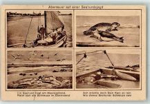 Abenteuer auf einer Seehundsjagd Robbe Gebrauchsspuren