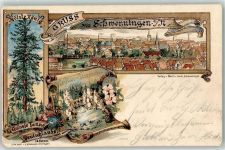 78048 W7730 Schwenningen am Neckar 1904 Lithographie Hötzle König Neckar-Ursprung