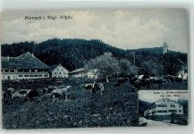 97273 W8702 Kürnach 1919 - Rinderweide Gutshaus Röck