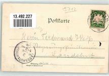 84130 W8312 Dingolfing 1898 Lithographie Hochbrücke Herzogsburg Pilz Schwammerling