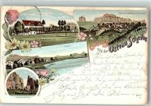 01814 O8320 Bad Schandau 1899 Lithographie Ostrau Scheibe Gasthaus Teich Schrammtor