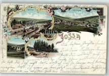36391 W6492 Jossa , Kr Schlüchtern 1899 Lithographie Bahnhof Viadukt Kegelbahn