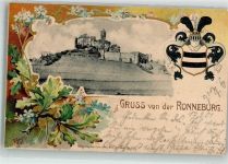 63549 W6451 Ronneburg , Hess 1901 Prägedruck Passepartout Eichenblätter Wappen Burg Ronneburg sign. Jausa