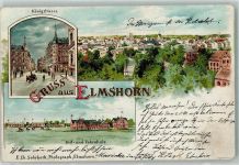 25335 W2200 Elmshorn 1899 Lithographie Königsstraße Reit- und Fahrschule