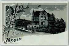 56859 W5584 Alf Gebrauchsspuren Gasthaus Waldfrieden Litho