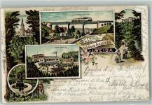 07570 O6518 Weida , Thür 1896 Lithographie Vorläufer Gasthaus Schöne Aussicht Schloss Osterburg Oschütztal-Viadukt