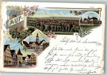 91207 W8560 Lauf a d Pegnitz 1899 Lithographie Oberes und Unteres Tor Schloß Stadtkirchenturm