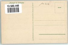 14823 O1824 Niemegk - Dorfstrassen Gänse Feldweg Wasserturm