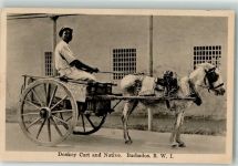 Eselkarre Native Barbados