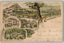 97769 W8788 Bad Brückenau 1898 Gebrauchsspuren Lithographie Gasthaus Bayrischer Hof Postdependence Postkutsche Waldenfels-Anlage