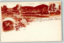 01814 O8320 Bad Schandau Lithographie Schloßbastei Kurhaus Der Brand Rosenzweig