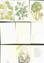Lot mit 12 AK komplette Serie im Originalumschlag Arzneipflanzen Blumen Medizin Kleinposten bis 20