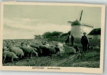 99628 O5232 Buttstädt - Lerchenmühle Feldweg Schafherde Schäfer Hunde