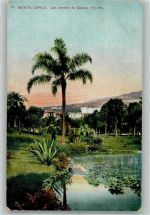 Monte Carlo Foto AK Les Jardins du Casino