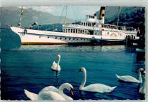 St-Gingolph Salonschiff Le Rhone im Hafen Schwäne Raddampfer