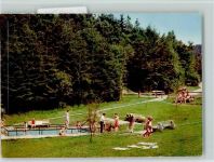 59964 W5789 Deifeld FOTO KEINE AK Wassertretbecken