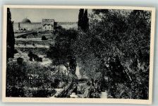 Jerusalem Foto AK Garten Gethsemane