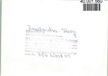 25718 W2228 Friedrichskoog , Dithm FOTO KEINE AK Strand