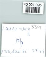 37586 W3354 Lauenberg FOTO KEINE AK Ruine
