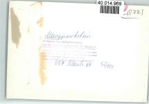 83250 W8215 Marquartstein FOTO KEINE AK Schnappenkapelle
