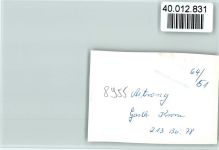 87648 W8955 Aitrang FOTO KEINE AK Gasthaus zur Krone