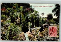Las Palmas de Gran Canaria 1910 Foto AK Lechucilla Marke Bildseitig