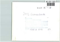 23775 W2443 Großenbrode FOTO KEINE AK Luftaufnahme