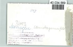 37186 W3413 Moringen FOTO KEINE AK Seteenbergsmühle