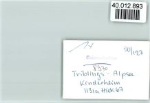 87509 W8970 Trieblings i Allgäu FOTO KEINE AK Kinderheim