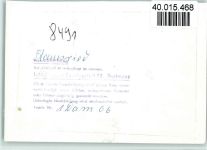 93491 W8491 Stamsried FOTO KEINE AK Freibad