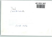 W4973 Vlotho Bad Seebruch Senkelteichstraße Birkenallee Baum FOTO KEINE AK