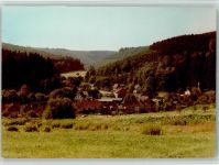 37603 W3450 Fohlenplacken FOTO KEINE AK