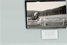 W3526 Trendelburg Springreiter Hindernisreiten FOTO KEINE AK